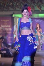 at Atharva College Indian Princess fashion show in Mumbai on 23rd Dec 2011 (140).JPG