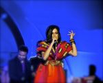 Sona Mohapatra Performs in Delhi For New Years 2012 on 4th Jan 2012 (4).jpg