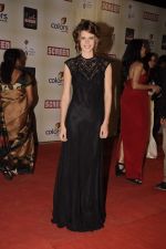 Kalki Koechilin at Star Screen Awards 2012 in Mumbai on 14th Jan 2012 (326).JPG
