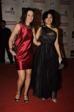Sonal Sehgal at Star Screen Awards 2012 in Mumbai on 14th Jan 2012 (287).JPG
