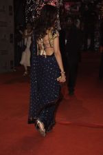 Sonali Bendre at Star Screen Awards 2012 in Mumbai on 14th Jan 2012 (174).JPG