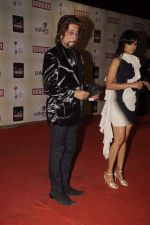 Tejaswini Kolhapure at Star Screen Awards 2012 in Mumbai on 14th Jan 2012 (296).JPG