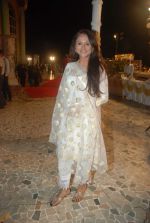 at Deepshikha and Kaishav Arora Wedding on 19th Jan 2012 (15).JPG