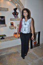 at the launch of Kriti Soni_s _Plumed_- A breathtaking collection of jewels in Mumbai on 21st Jan 2012 (19).JPG