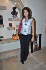 at the launch of Kriti Soni_s _Plumed_- A breathtaking collection of jewels in Mumbai on 21st Jan 2012 (20).JPG
