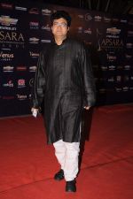 Parsoon Joshi at the 7th Chevrolet Apsara Awards 2012 Red Carpet in Yashraj Studio, Mumbai on 25th Jan 2012 (191).JPG
