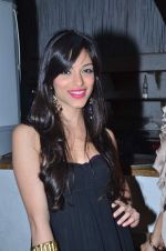 at the launch of ZYNG calendar in Olive on 26th Jan 2012 (53).JPG