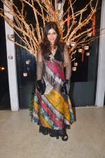 Nisha Jamwal at Vong Wong 5th anniversary bash in Mumbai on 28th Jan 2012 (32).JPG