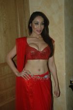 Sofia Hayat at the Audio release of Diary of a Butterfly in Fun Republic on 30th Jan 2012 (38).JPG