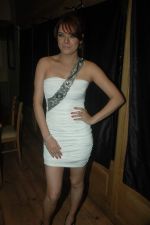 Udita Goswami at the Audio release of Diary of a Butterfly in Fun Republic on 30th Jan 2012 (17).JPG