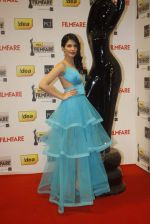 at 57th Idea Filmfare Awards 2011 on 29th Jan 2012 (94).jpg