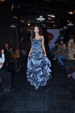 at Designer Aarti Vijay Gupta showcases collection in Rude Lounge on 30th Jan 2012 (95).JPG