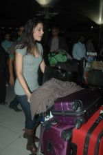 Nargis Fakri snapped at international airport on 1st Feb 2012 (38).JPG