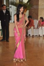at Ritesh Deshmukh and Genelia wedding in Grand Hyatt, Mumbai on 3rd Feb 2012 (200).JPG