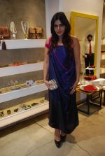 Nisha Jamwal at Ritu Pande_s Romantic Couture hosted by Nisha Jamwal in Creo on 7th Feb 2012 (5).JPG