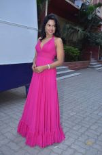 Sameera Reddy at Cotton Council of India Lets Design 4 contest in Mumbai on 8th Feb 2012 (137).JPG