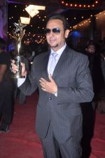 Gulshan Grover at Stardust Awards red carpet in Mumbai on 10th Feb 2012 (232).JPG