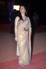 Urvashi Sharma at Stardust Awards red carpet in Mumbai on 10th Feb 2012 (23).JPG