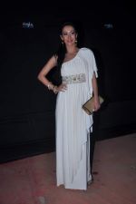 at Stardust Awards red carpet in Mumbai on 10th Feb 2012 (235).JPG