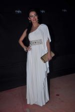 at Stardust Awards red carpet in Mumbai on 10th Feb 2012 (237).JPG