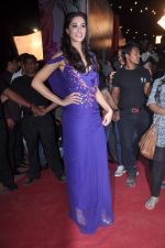 at Stardust Awards red carpet in Mumbai on 10th Feb 2012 (241).JPG