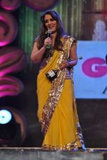 Pria Kataria Puri at GR8 Women Achievers Awards 2012 on 15th Feb 2012 (77).JPG