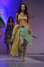 Shamita Singha at Sophia college fashion show in Mumbai on 17th Feb 2012 (149).JPG