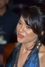 Sameera Reddy at Cosmopolitan Fun Fearless Female & Male Awards in Mumbai on 19th Feb 2012 (170).JPG