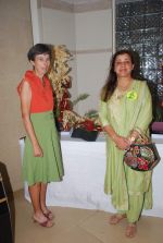 at Jamnabai Bonzai show in Juhu, Mumbai on 24th Feb 2012 (5).JPG