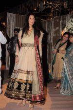 Mehr Rampal at the Honey Bhagnani wedding reception on 28th Feb 2012 (27).JPG