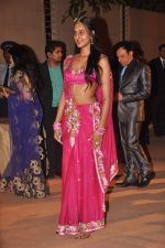 at the Honey Bhagnani wedding reception on 28th Feb 2012 (221).JPG