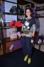 at the launch of Hidesign premier Luxury collection Alberto Ciaschini, Handcrafted by Hidesign in Mumbai on 29th Feb 2012 (72).JPG