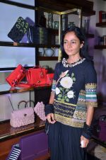 at the launch of Hidesign premier Luxury collection Alberto Ciaschini, Handcrafted by Hidesign in Mumbai on 29th Feb 2012 (73).JPG