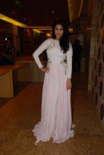 Anjana Sukhani at Day 4 of lakme fashion week 2012 in Grand Hyatt, Mumbai on 5th March 2012 (308).JPG