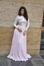 Anjana Sukhani poses in Nitya Bajaj design on 5th March 2012 (1).JPG