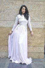 Anjana Sukhani poses in Nitya Bajaj design on 5th March 2012 (10).JPG