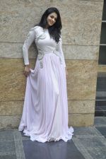 Anjana Sukhani poses in Nitya Bajaj design on 5th March 2012 (13).JPG
