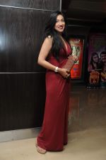 Rituparna Sengupta at Zindagi Tere Naam premiere in PVR on 15th March 2012 (26).JPG