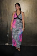 at TRYST DJ Bunty throws a bday bash for Rajeeta Hemwani in Tryst, Mumbai on 16th March 2012 (72).JPG