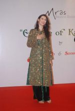 at Essence of Kashmir fashion showcase in Sea Princess, Mumbai on 17th March 2012 (80).JPG