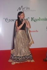 at Essence of Kashmir fashion showcase in Sea Princess, Mumbai on 17th March 2012 (84).JPG