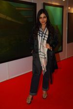 Nisha Jamwal at the Preview of Osian art auction in Nariman Point on 19th March 2012 (16).JPG