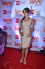 Priyanka Chopra at CBS Love show launch in Novotel on 20th March 2012 (105).JPG