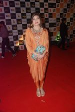 Alka Yagnik at Mirchi Music Awards 2012 in Mumbai on 21st March 2012 (43).JPG