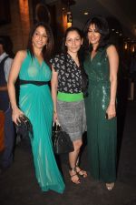 Chitrangada Singh, Krishika Lulla, Manyata Dutt at Agent Vinod Screening in INOX, Mumbai on 22nd March 2012 (2).JPG