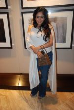 at photographer Shantanu Das exhibition in Tao Art Gallery on 28th March 2012 (83).JPG