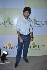 at Apicus lounge launch in Mumbai on 29th March 2012 (139).JPG