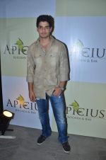 at Apicus lounge launch in Mumbai on 29th March 2012 (147).JPG