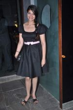 at Apicus lounge launch in Mumbai on 29th March 2012 (2).JPG