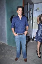 at Apicus lounge launch in Mumbai on 29th March 2012 (39).JPG